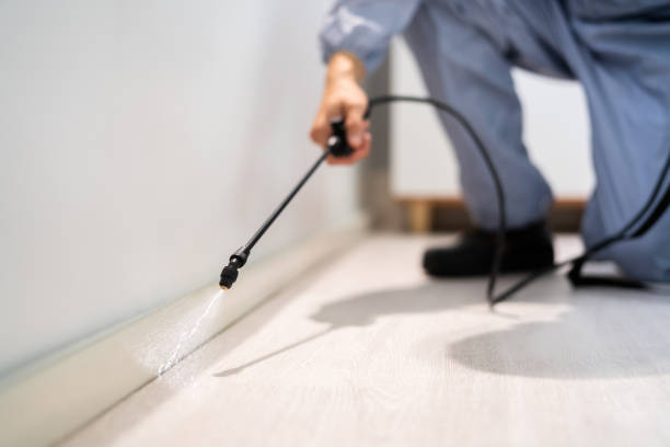 Licensed Pest Control service in Rock Island, WA - Show Me Pest Control