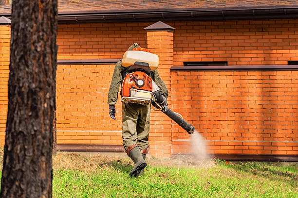 Top rated local Ant Control specialists in Rock Island, WA
